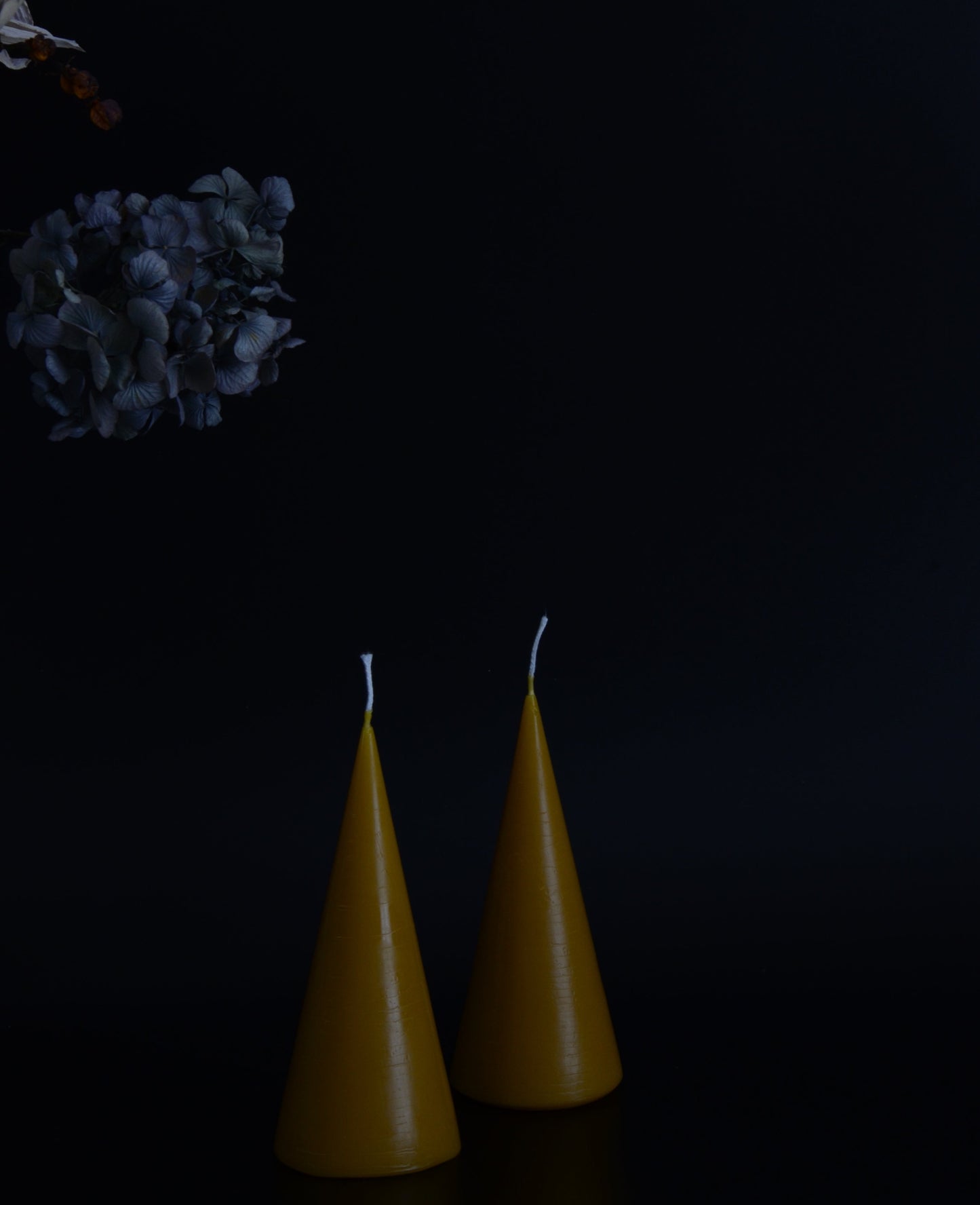 BEESWAX CONE