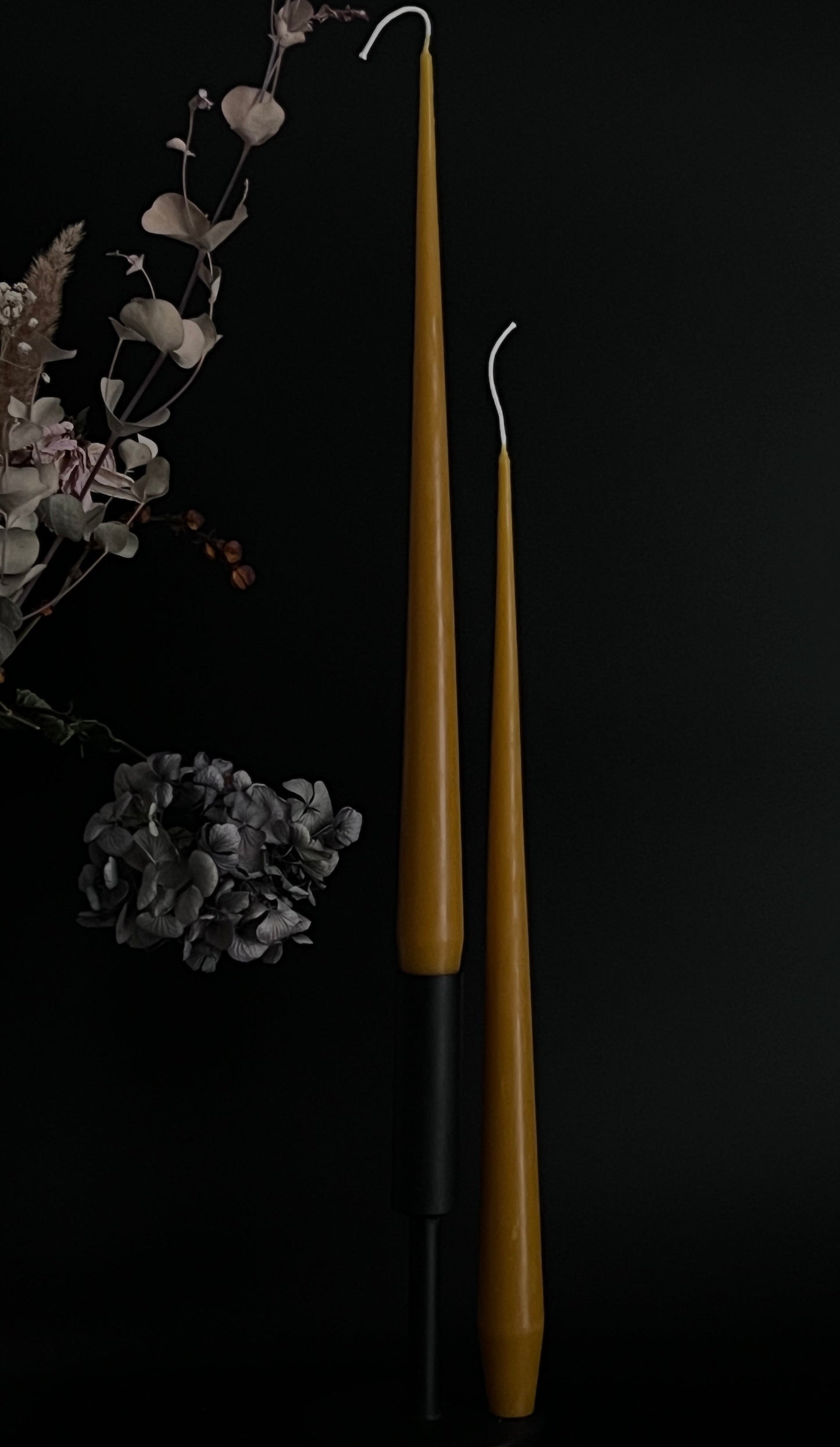 BEESWAX INFINITY TAPER